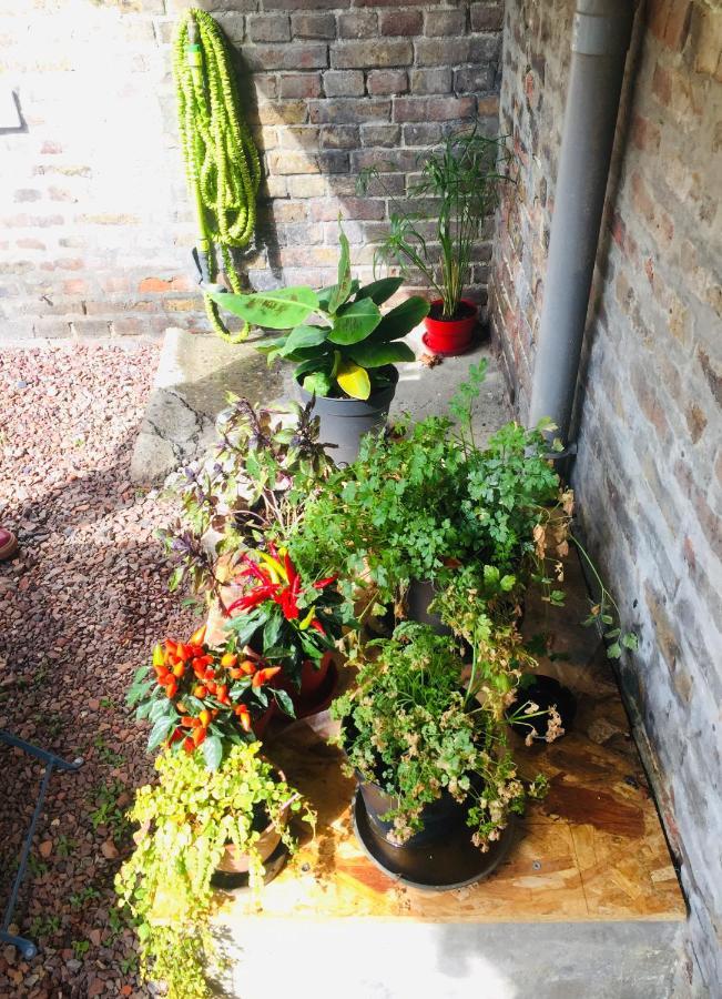 Le 61 Bis Ferienhaus *
